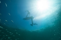 37f3eba0-4e2b-4d1d-8f2d-66d6208514c5